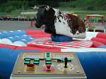 Bull ride Bull ride